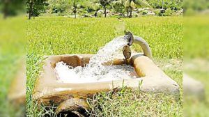 कृषी पंपांना वीज मोफत व्याज तिप्पट